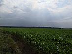 Císařov
