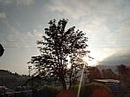 Skalité