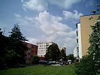 Borovina