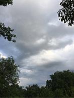 Tršice