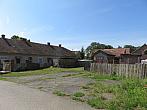Třibřichy