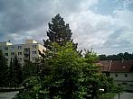 Borovina