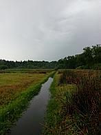Nová Ves