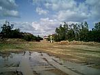 Borovina