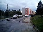 Borovina
