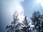 Borovina