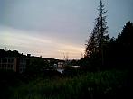 Borovina
