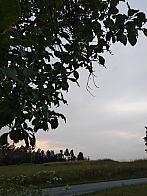 Fotografie