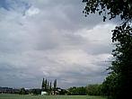 Borovina