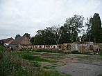Třibřichy