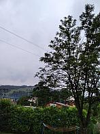 Skalité