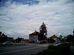 Borovina