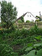 Třibřichy