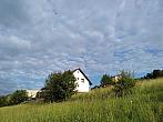 Skalité
