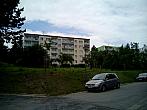 Borovina