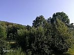 Holčovice