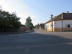 Třibřichy