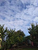 Pacov