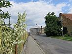 Třibřichy