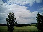 Borovina