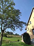 Skalité