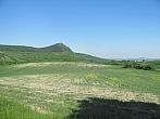 Podsedice