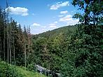 Borovina