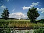 Borovina