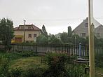 Třibřichy