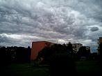 Borovina