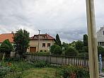 Třibřichy