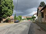 Třibřichy