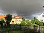 Třibřichy
