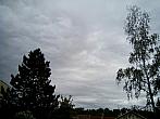 Borovina