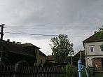 Třibřichy