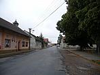 Třibřichy