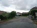 Třibřichy
