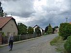 Třibřichy
