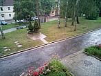 Borovina
