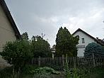 Třibřichy