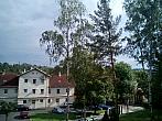 Borovina