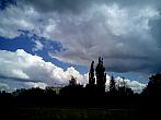 Borovina