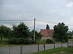 Třibřichy
