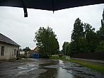 Třibřichy
