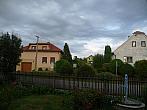 Třibřichy
