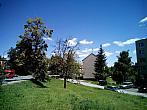 Borovina
