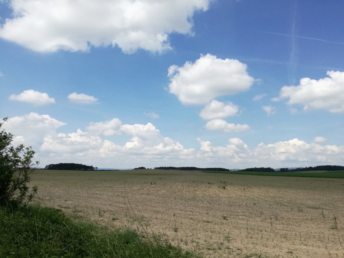 Hostákov