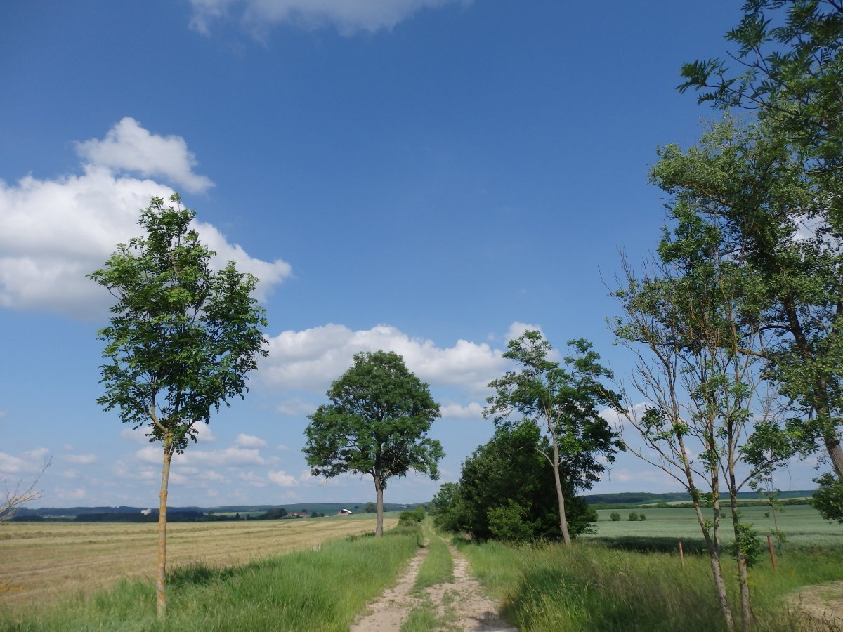 Dětenice-Brodek