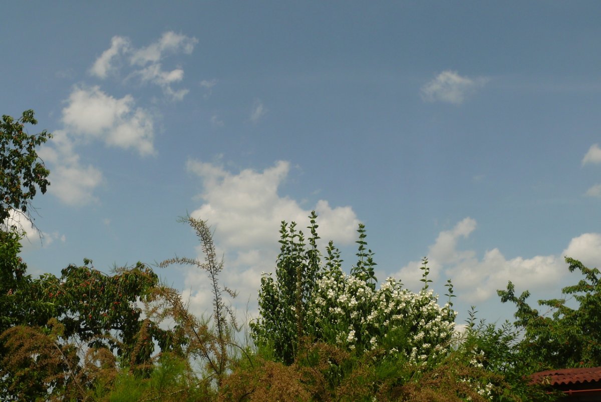 Hradec Králové
