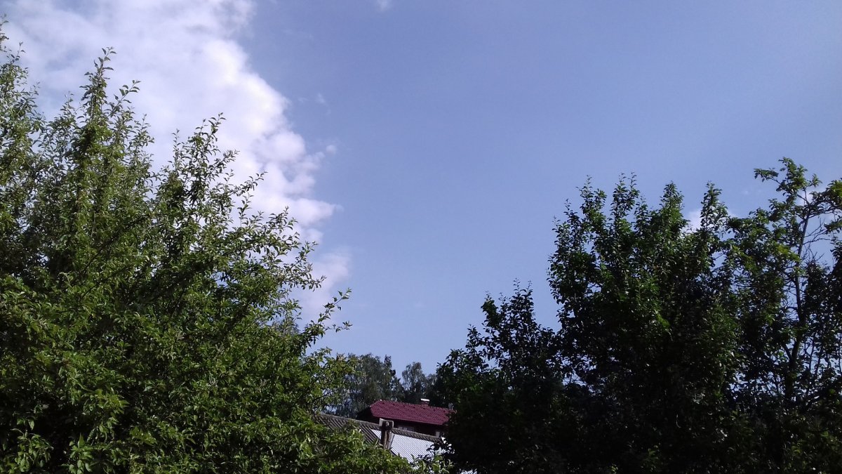 Olešná